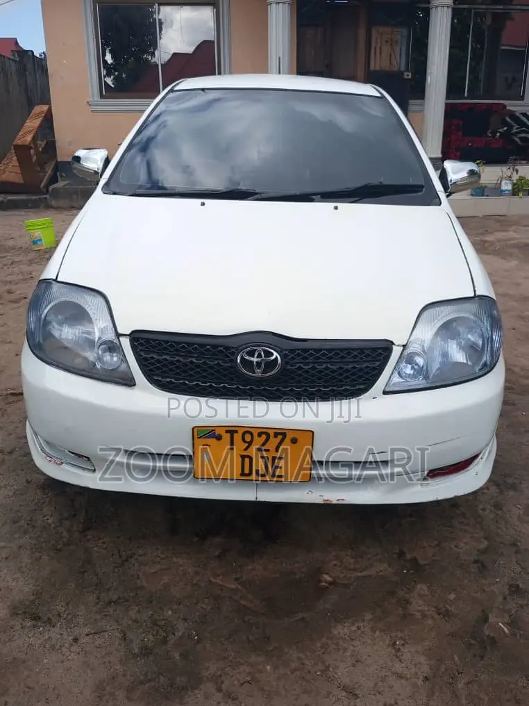 Toyota Allex 2002 White