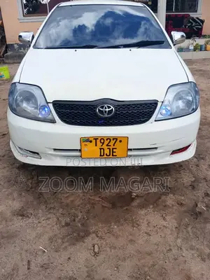 Toyota Allex 2002 White