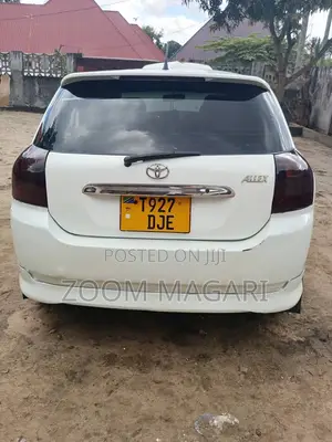 Toyota Allex 2002 White
