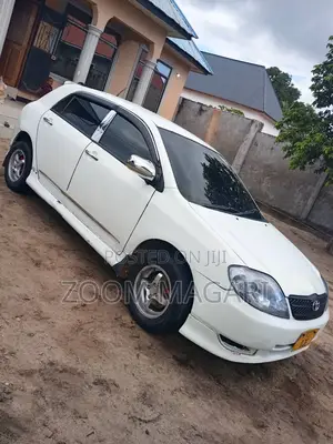Toyota Allex 2002 White