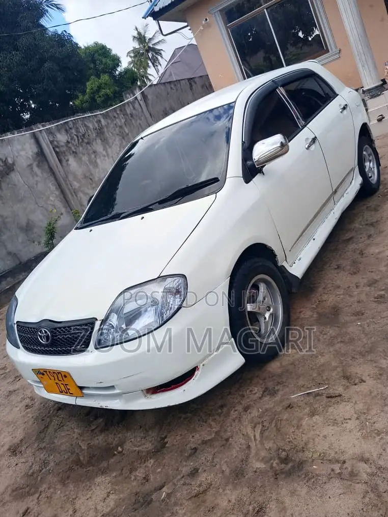 Toyota Allex 2002 White
