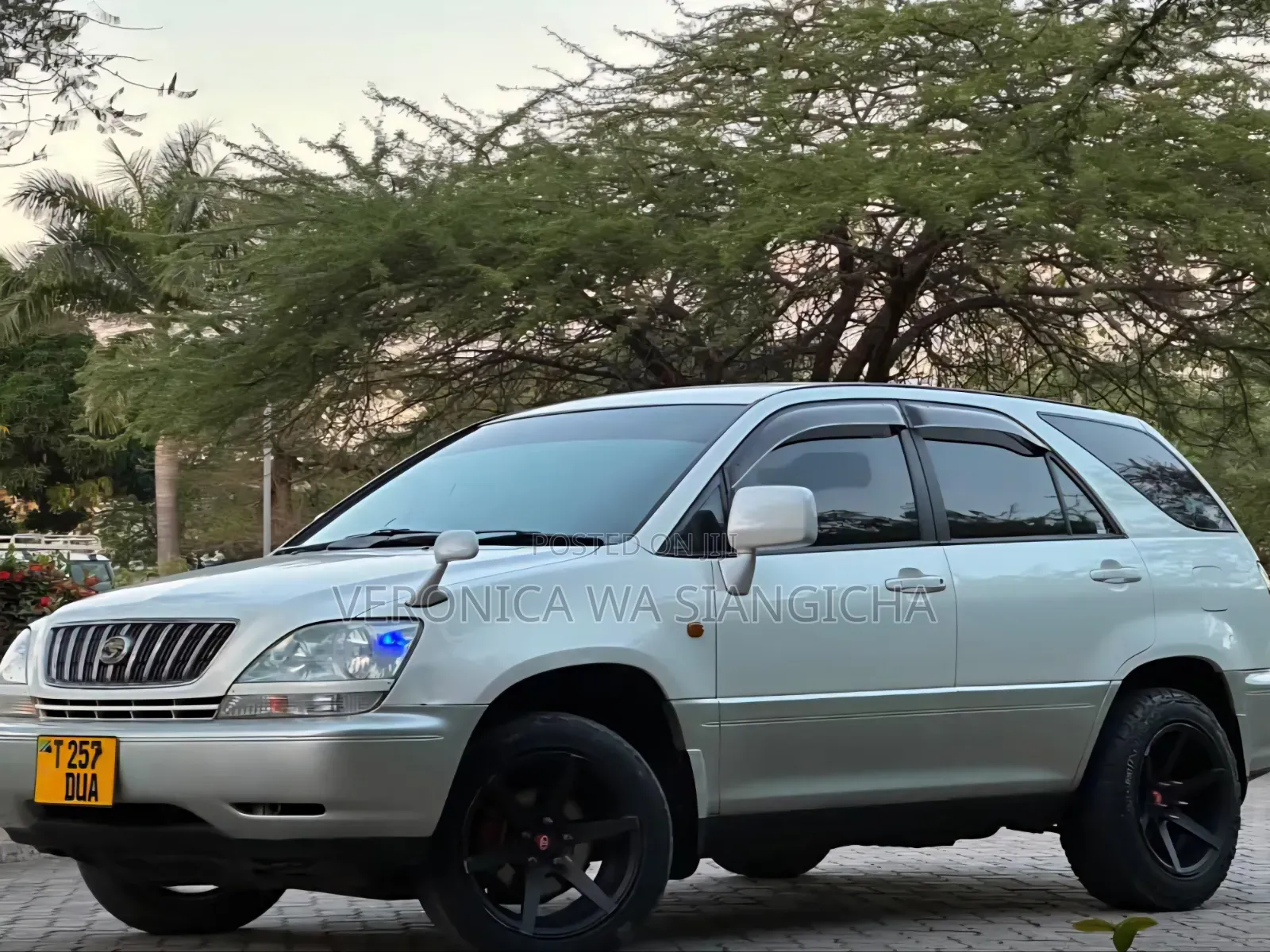 Toyota Harrier 2004 Silver