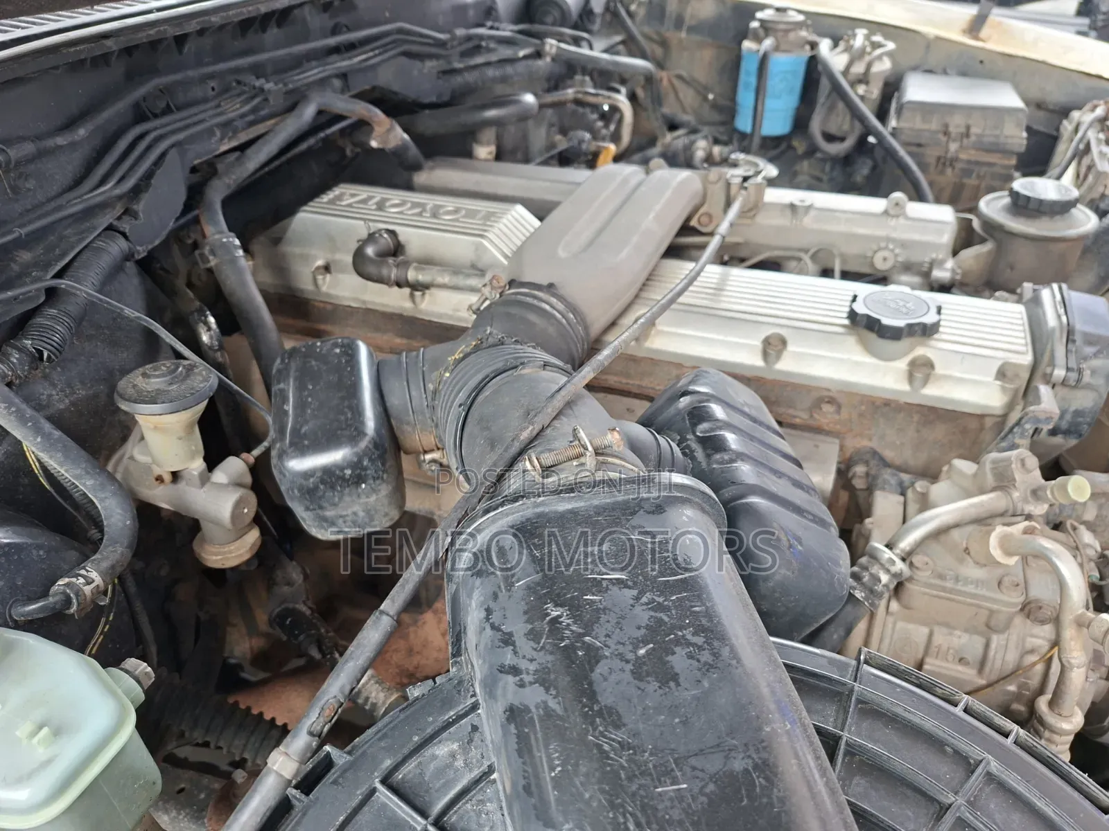 Toyota Land Cruiser 2002 White