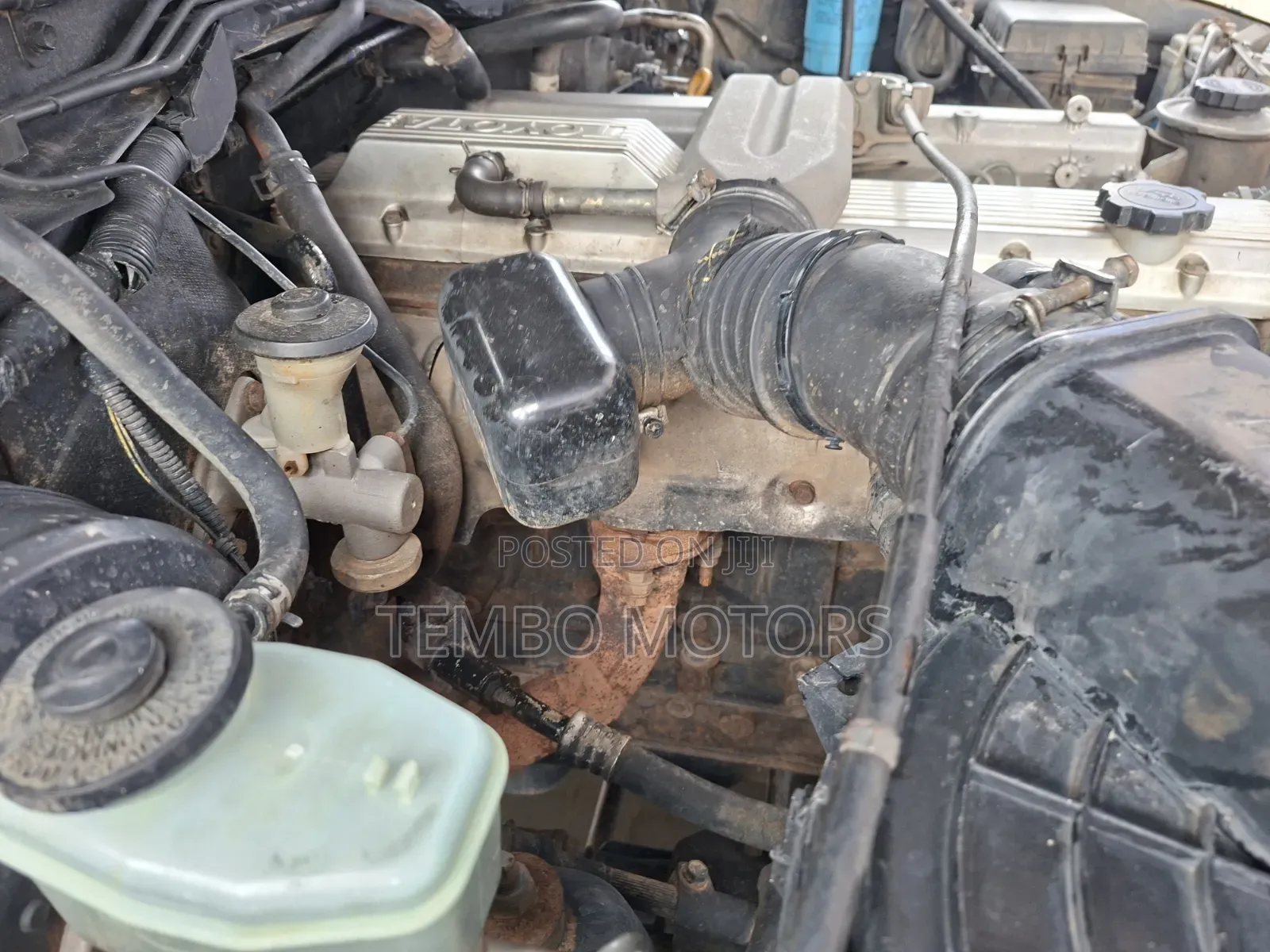 Toyota Land Cruiser 2002 White