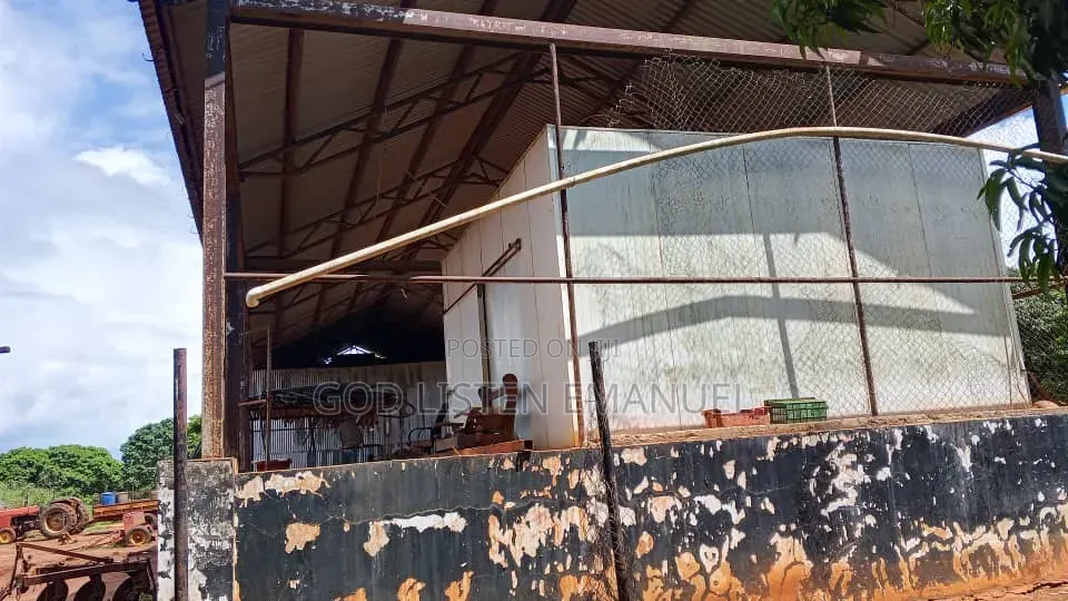 Shamba Linauzwa Eka 500