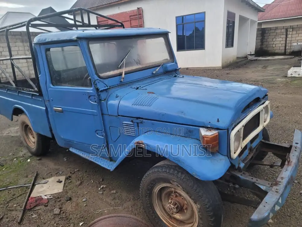 Toyota Land Cruiser 1965 Blue