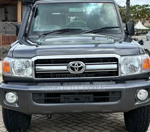 Toyota Land Cruiser 2022 Gray