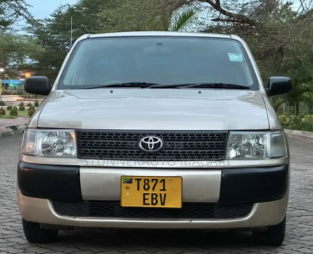 Toyota Probox 2011 Beige