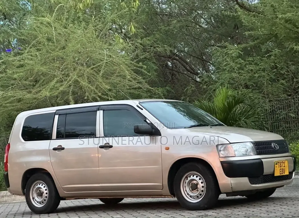 Toyota Probox 2011 Beige