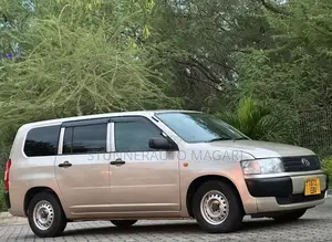 Toyota Probox 2011 Beige