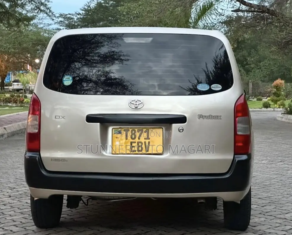 Toyota Probox 2011 Beige