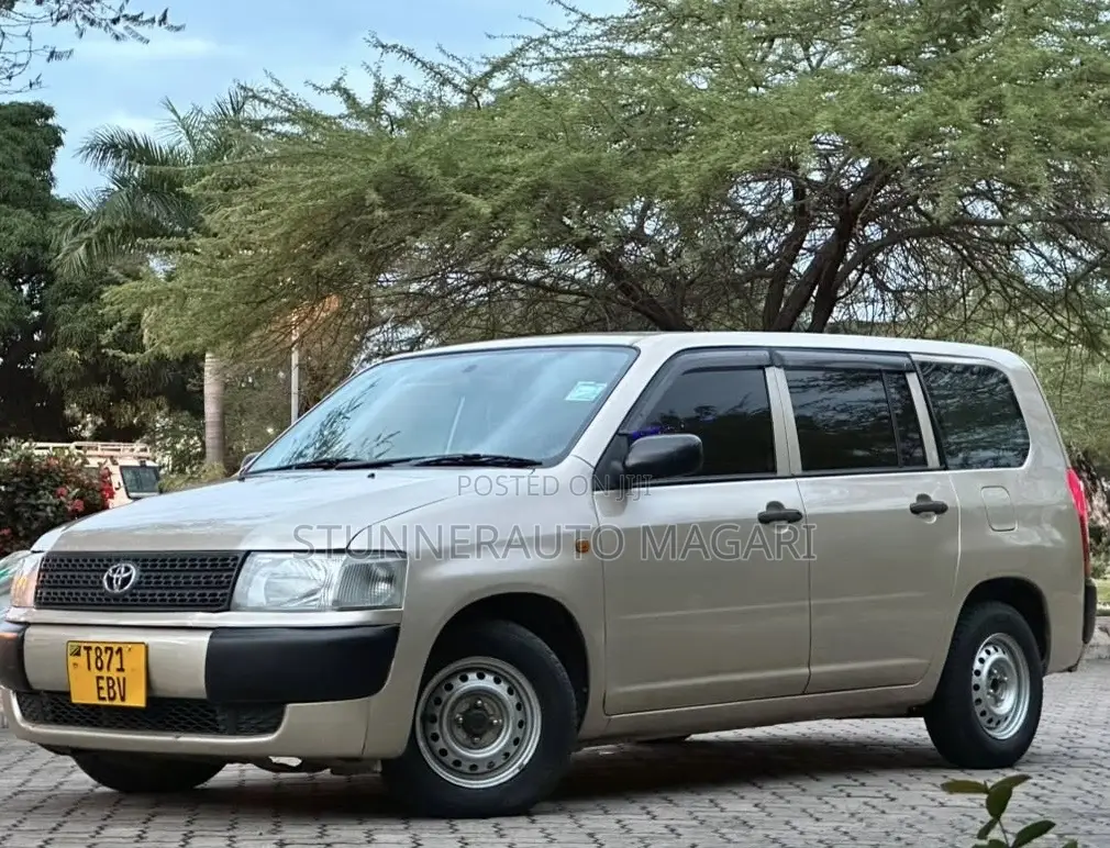 Toyota Probox 2011 Beige
