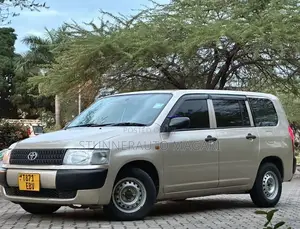 Toyota Probox 2011 Beige
