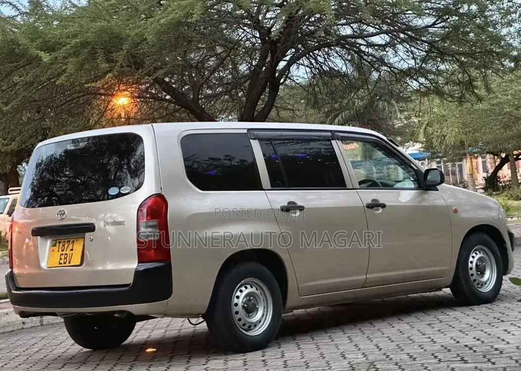 Toyota Probox 2011 Beige