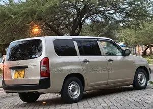 Toyota Probox 2011 Beige