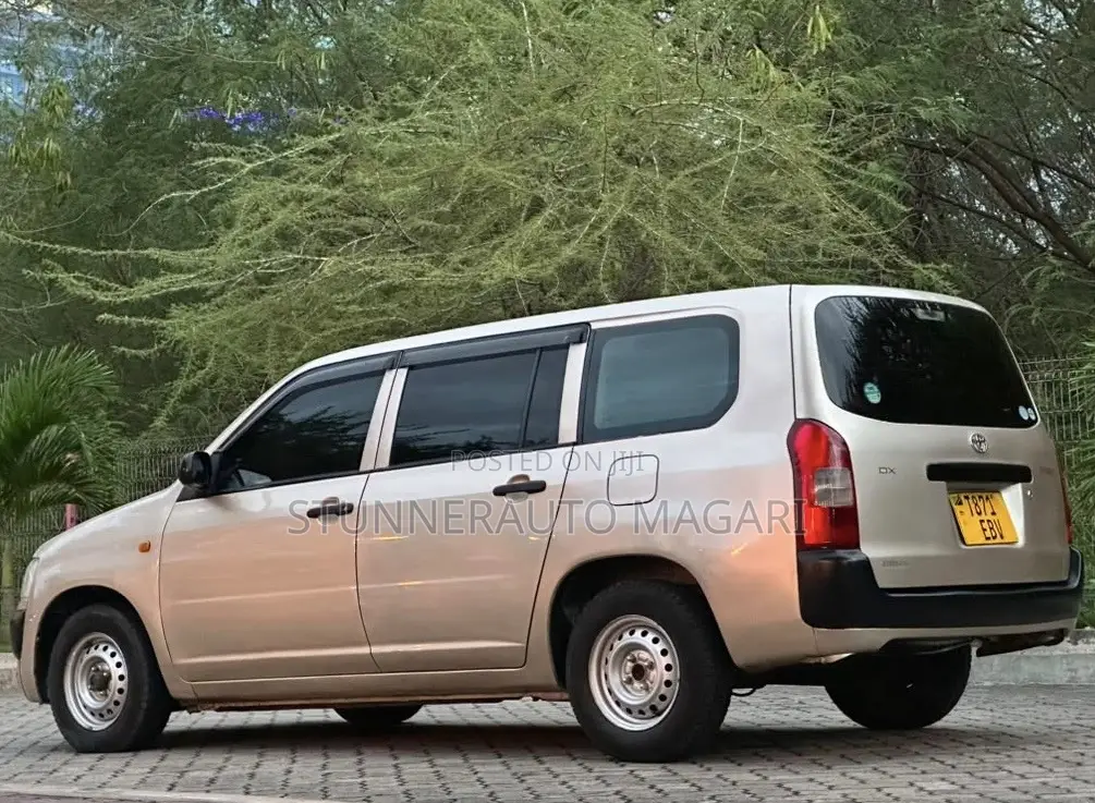 Toyota Probox 2011 Beige