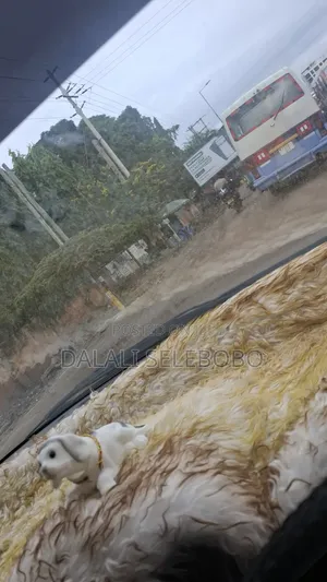 Investment Area at Mikocheni B Main Road