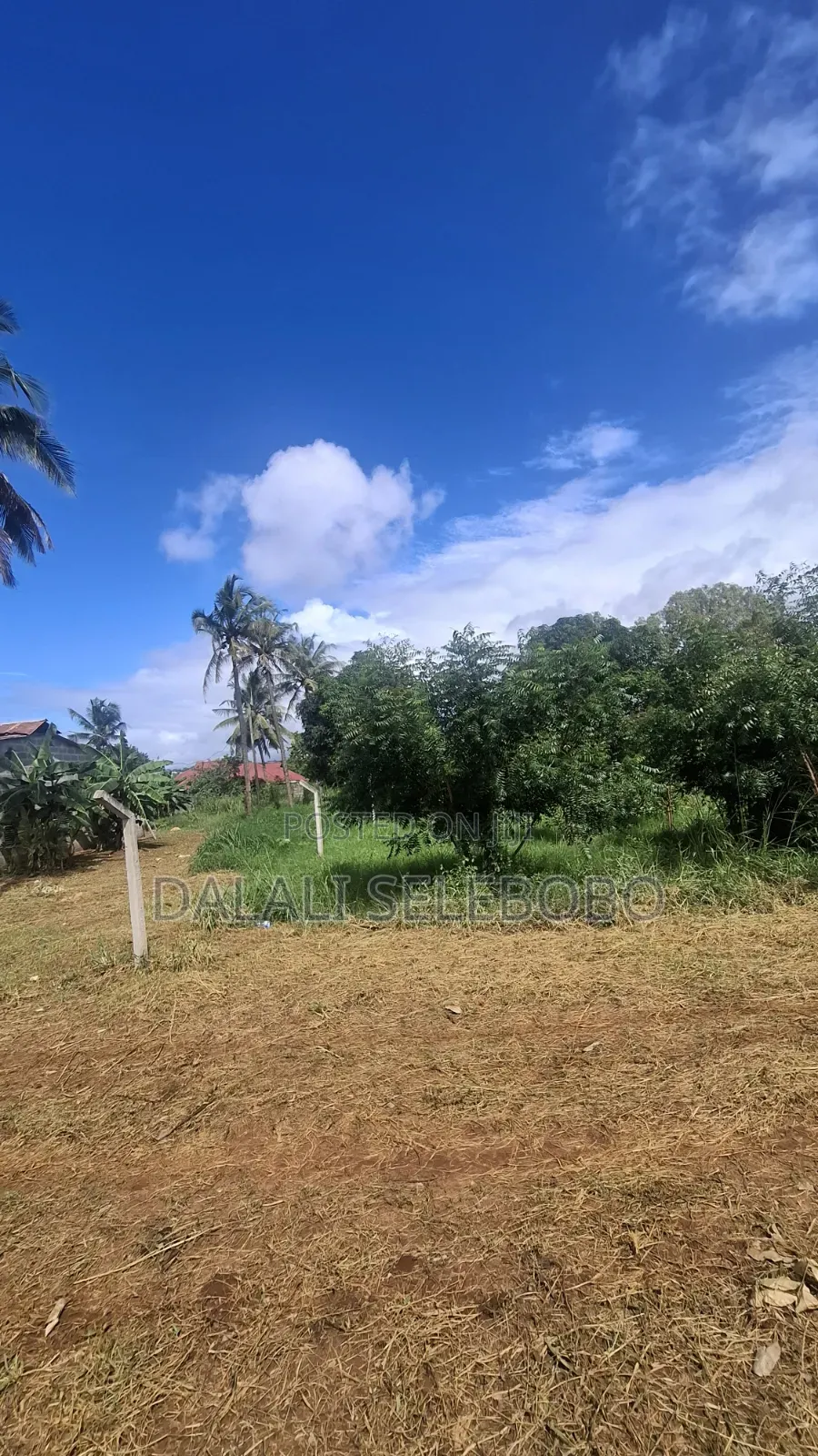 Plot at Mikocheni B Near Mwenge Investment Centre
