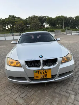 BMW 3 Series 2009 Silver