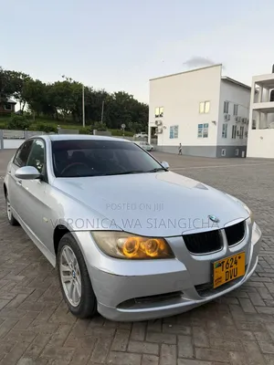 BMW 3 Series 2009 Silver