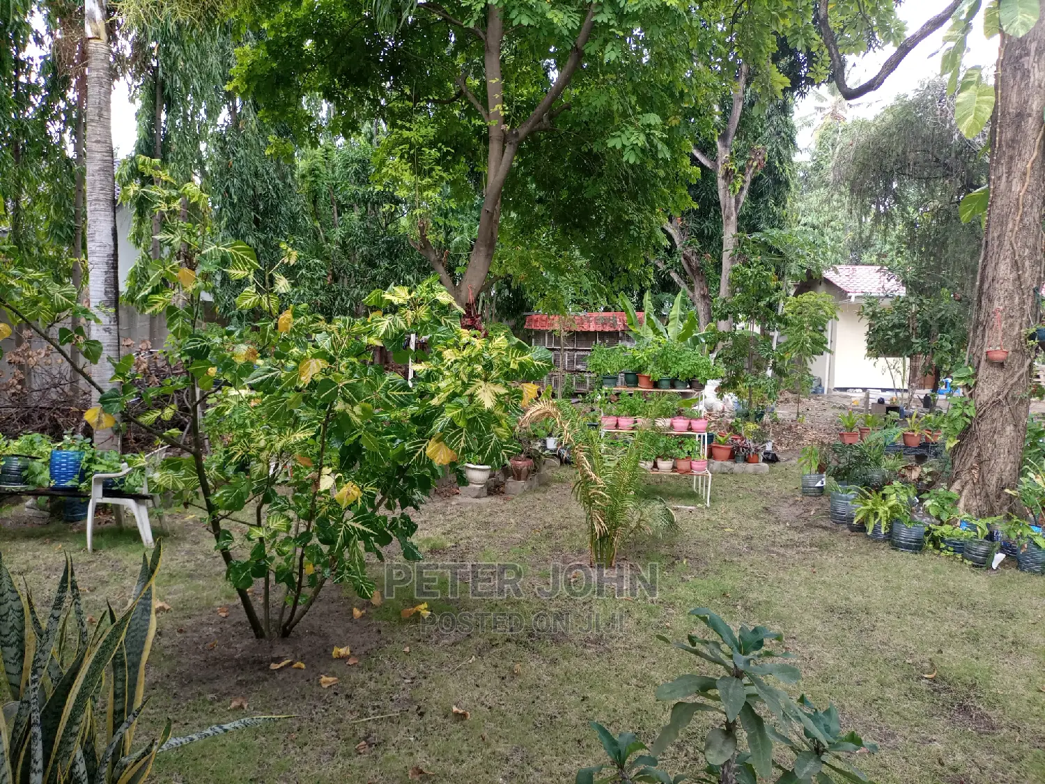 Furnished Studio Apartment in Mikocheni for rent