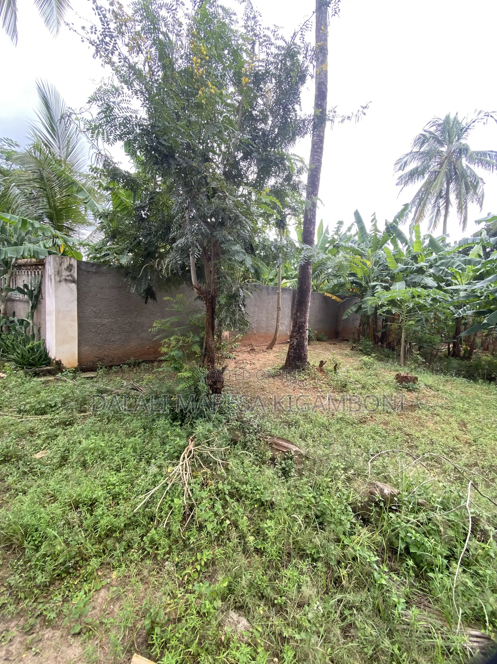 Plot for Sale Kisota Kigamboni