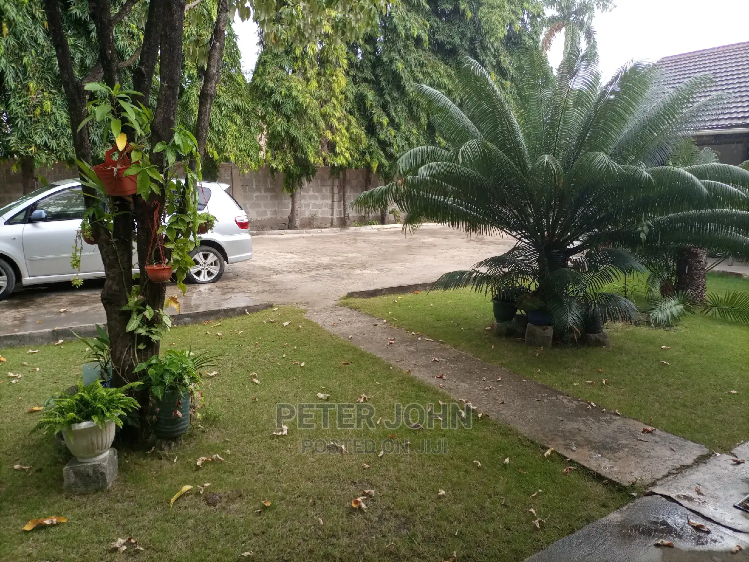 Furnished Studio Apartment in Mikocheni for rent