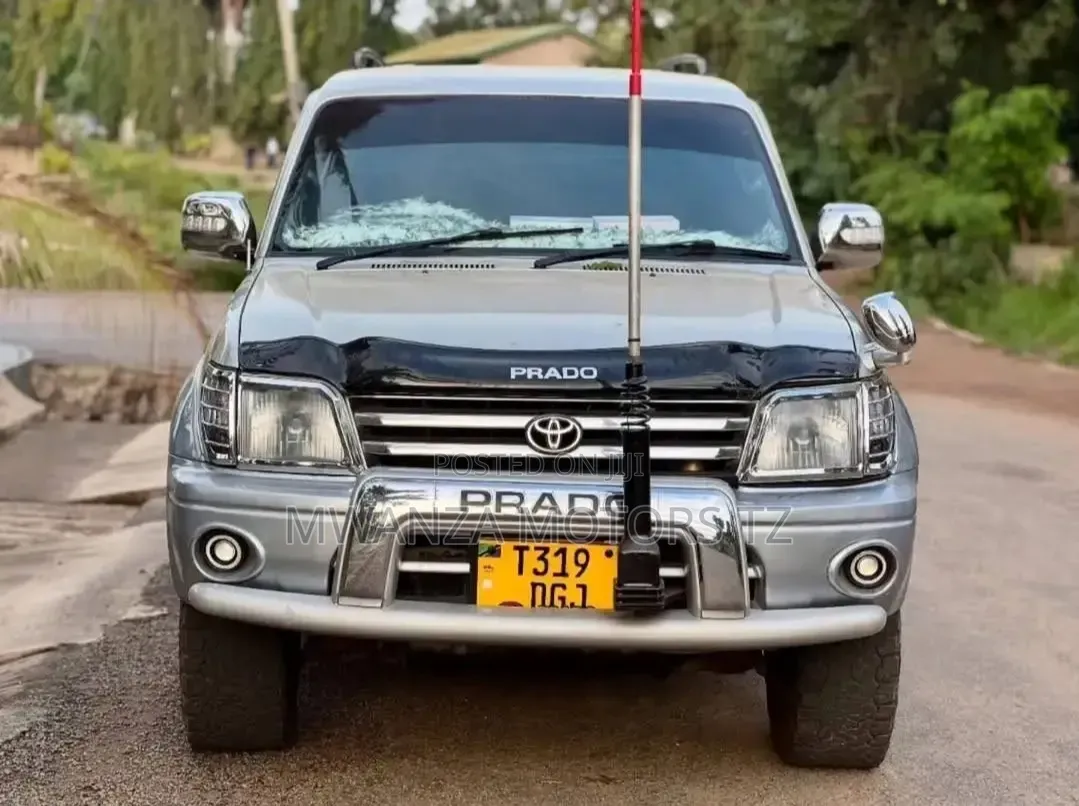 Toyota Land Cruiser Prado 2002 Silver