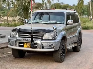Toyota Land Cruiser Prado 2002 Silver