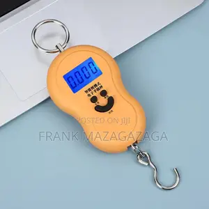 Mizani Digital Scale