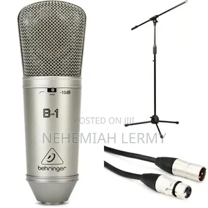 Behringer B1 Condenser Microphone