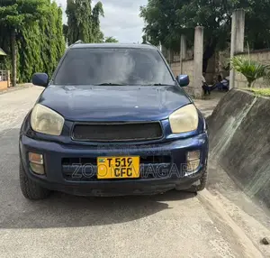 Toyota RAV4 2004 Blue