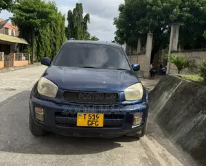 Toyota RAV4 2004 Blue