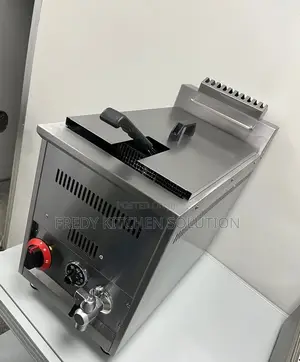Commercial Gas Fryer