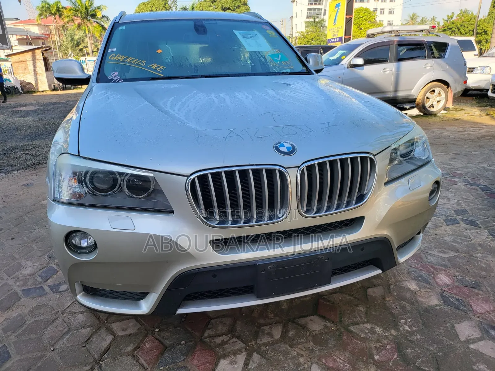 BMW X3 xDrive30i 2010 Silver