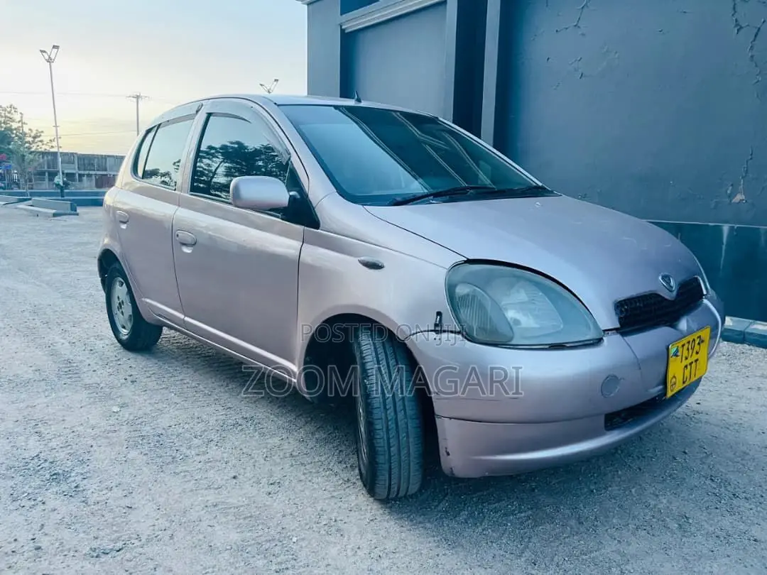 Toyota Vitz 2002 Pink