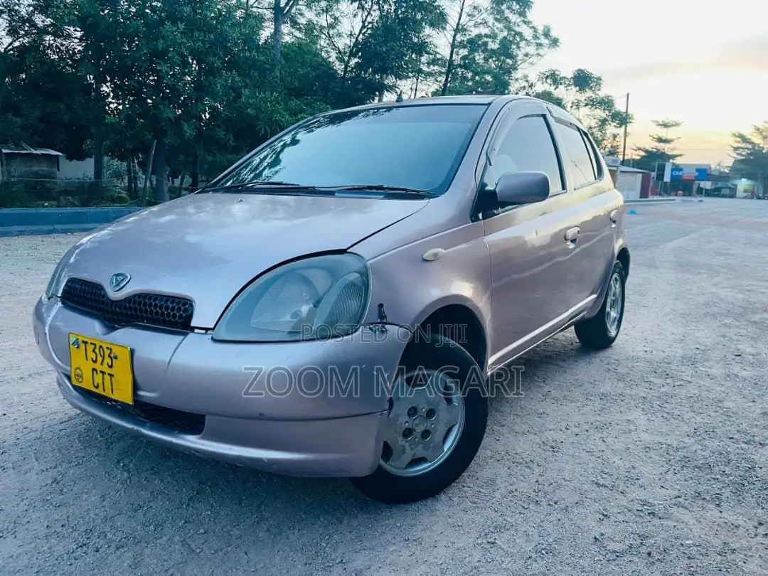 Toyota Vitz 2002 Pink