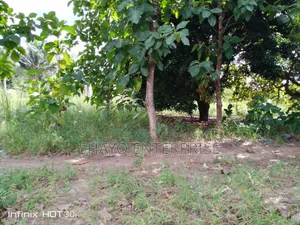 Kiwanja Kinauzwa Manzese Mabwepande