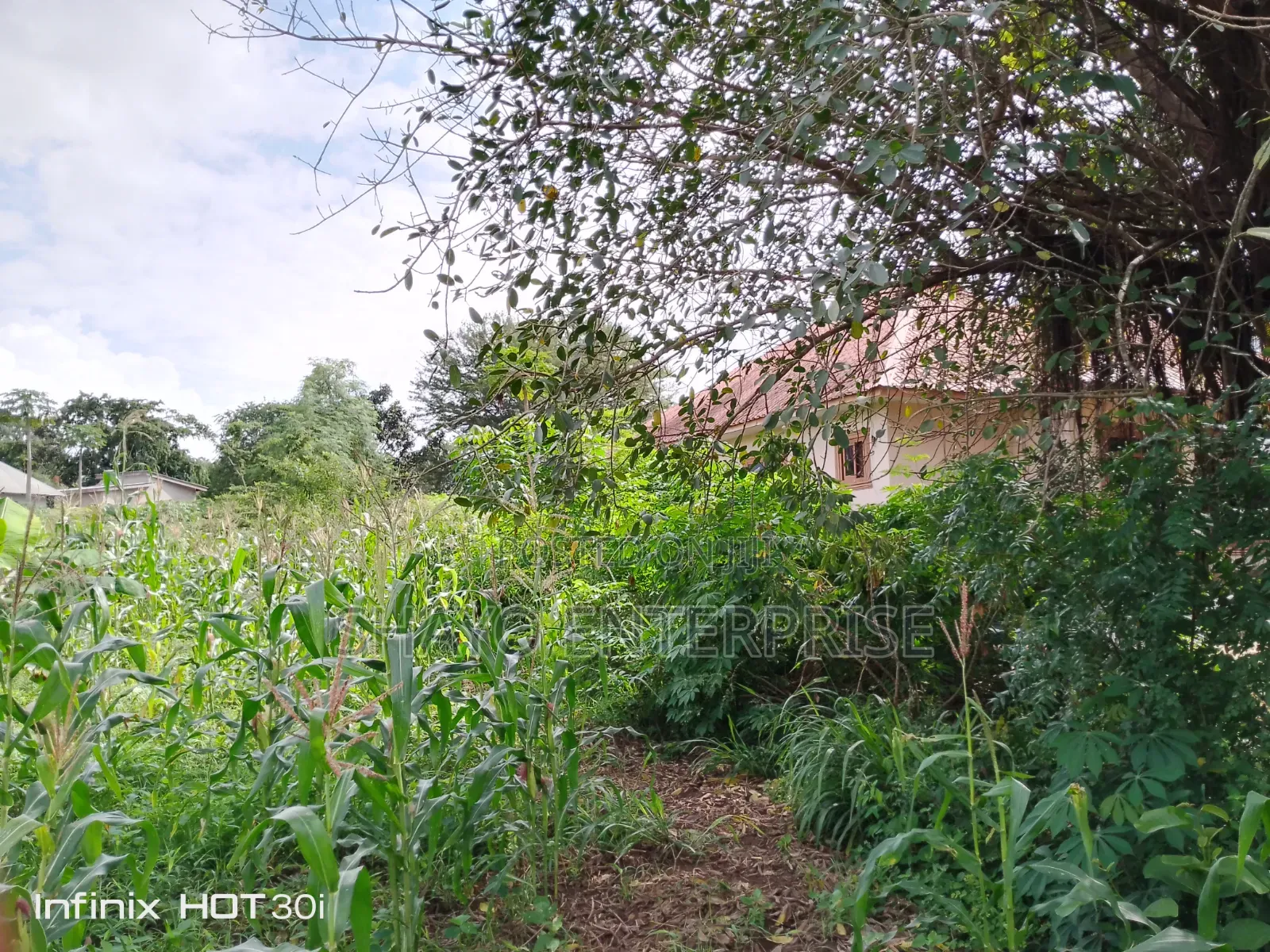 Kiwanja Kinauzwa SQM 1000+