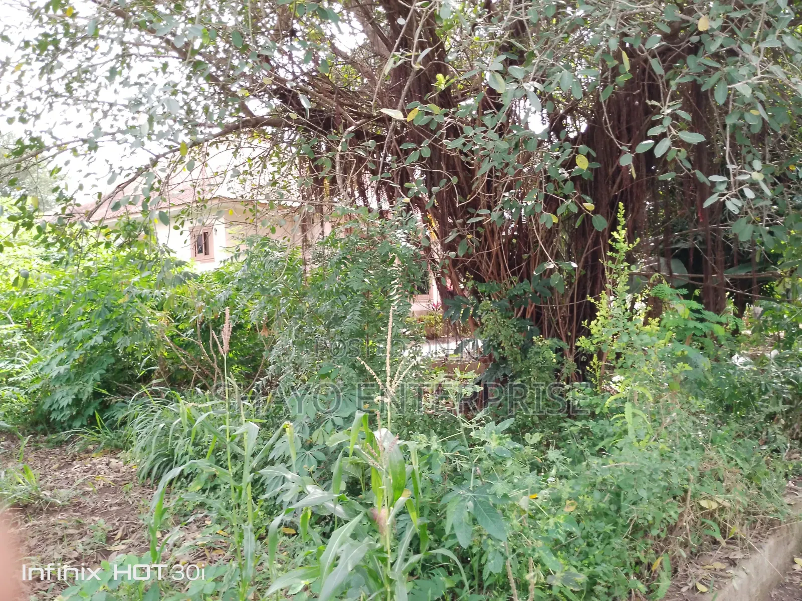 Kiwanja Kinauzwa SQM 1000+