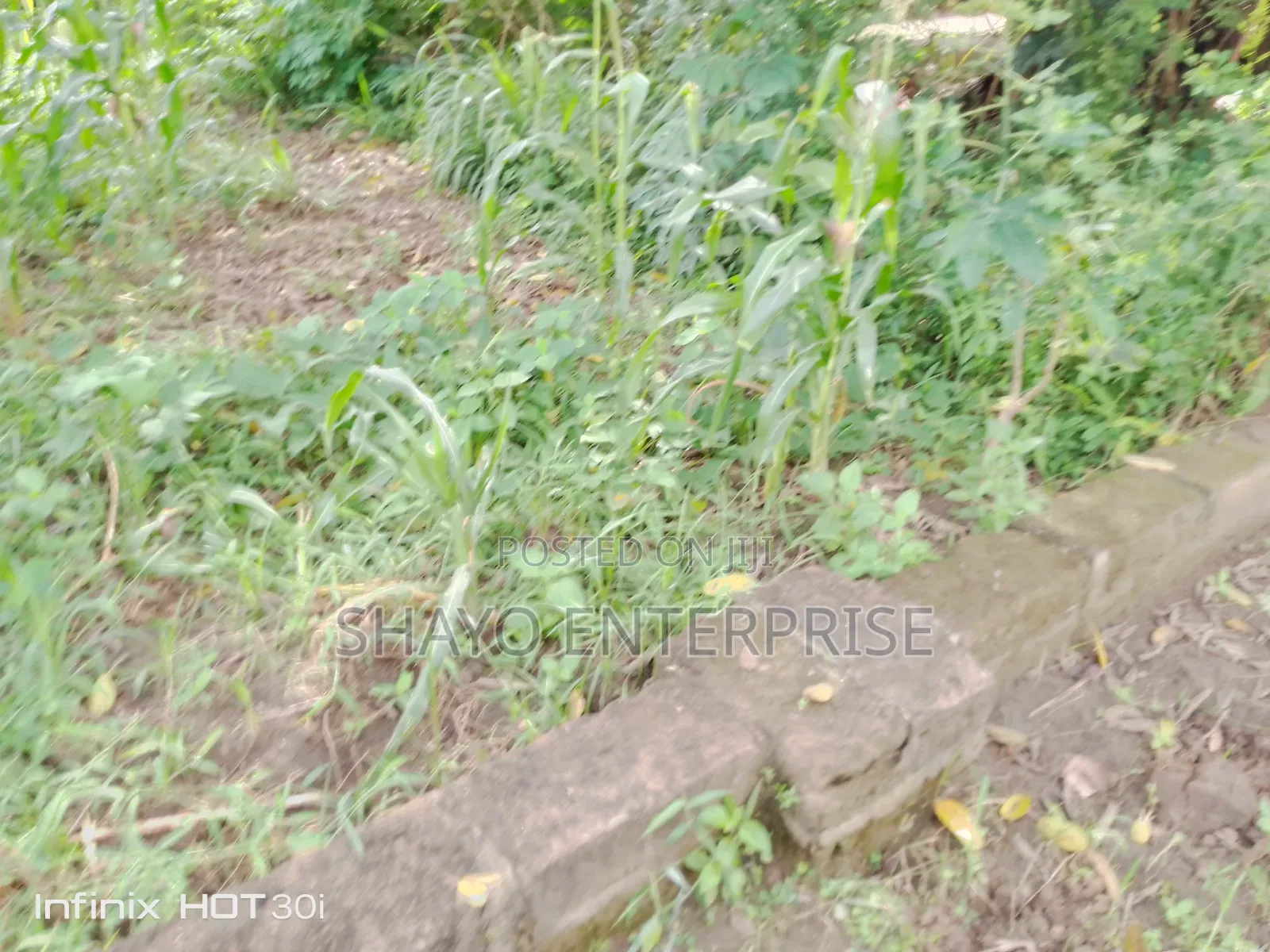 Kiwanja Kinauzwa SQM 1000+