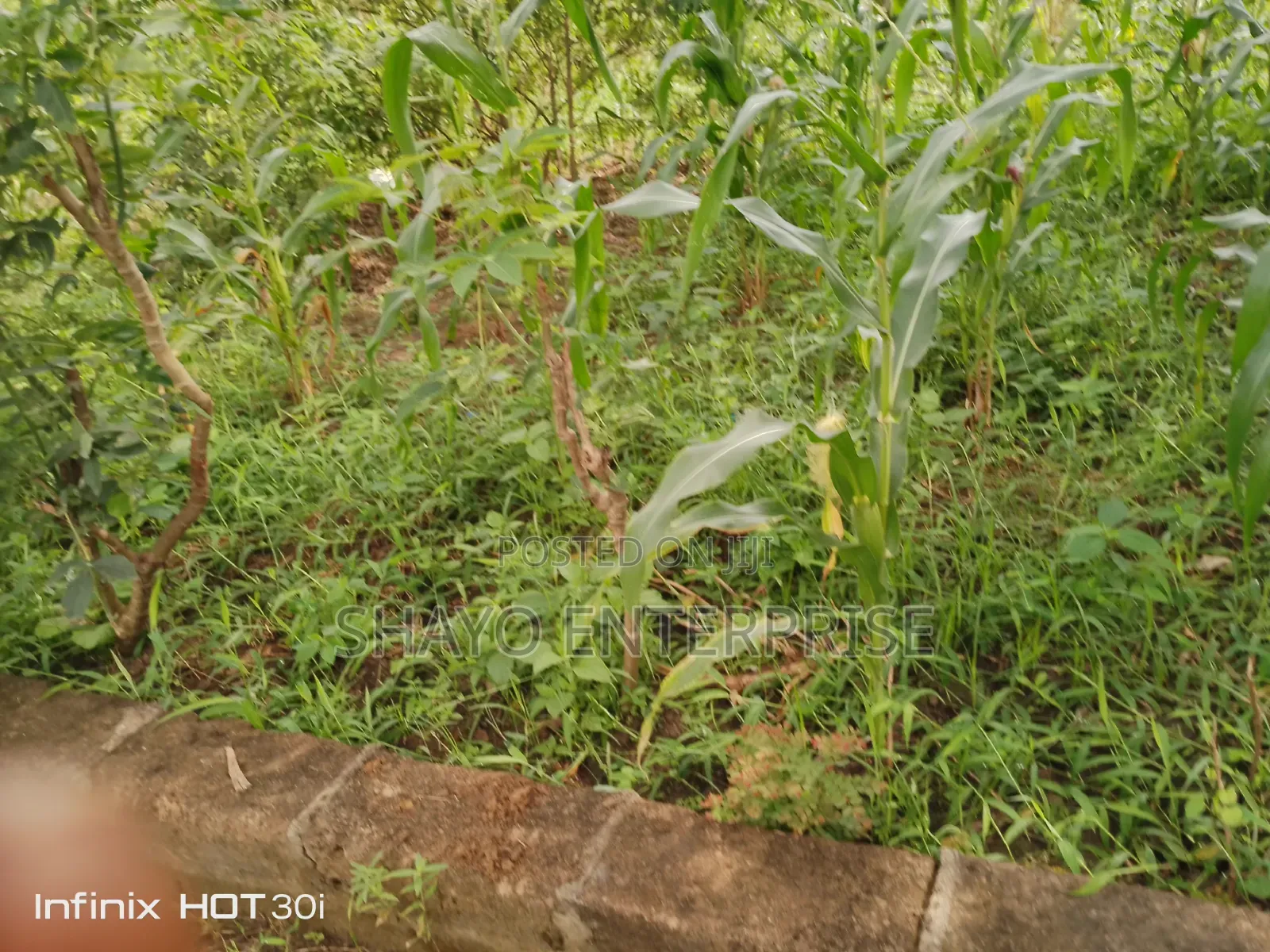 Kiwanja Kinauzwa SQM 1000+