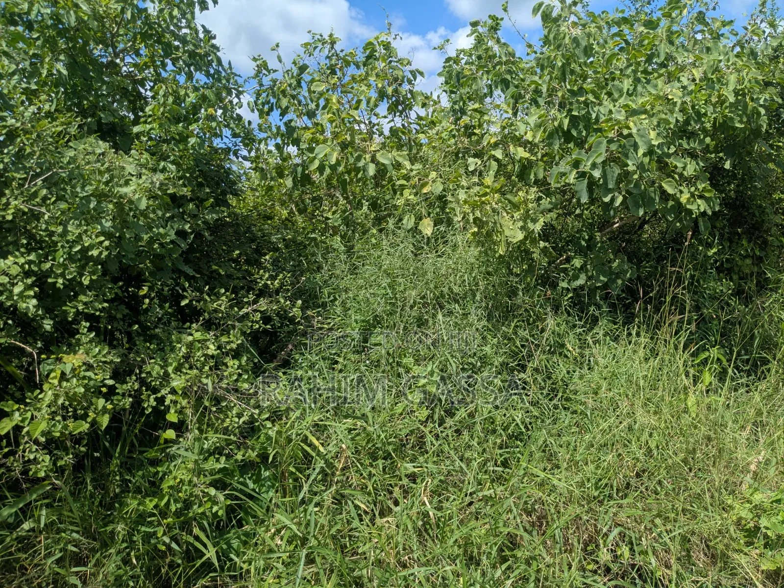 Shamba Bagamoyo Pwani