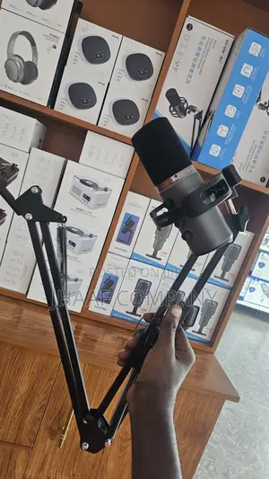 Ko- Star Professional Microphone