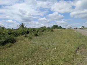 Shamba Linauzwa Chalinze