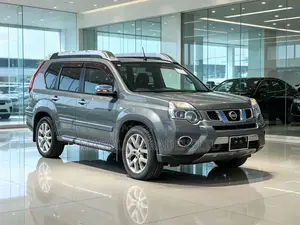 Nissan X-Trail 2013 Gray