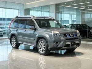 Nissan X-Trail 2013 Gray