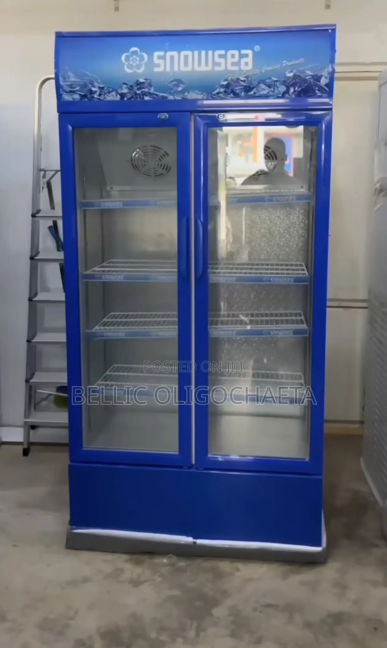 Snowsea Showcase Sn583s* *Double Door* *550l