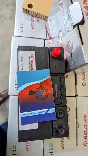 Ns60 Battery Highest Quality