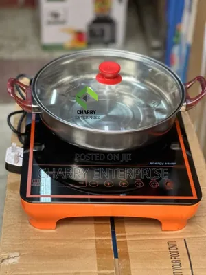 Original Blackstone Induction Cooker 2000w 8 Level Temp